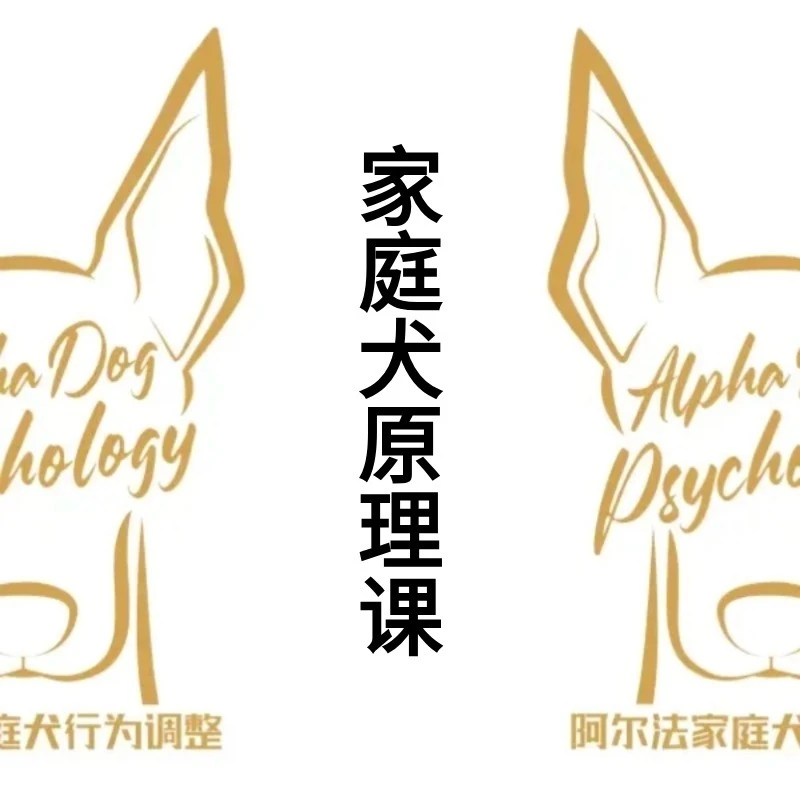 【阿尔法】家庭犬原理课