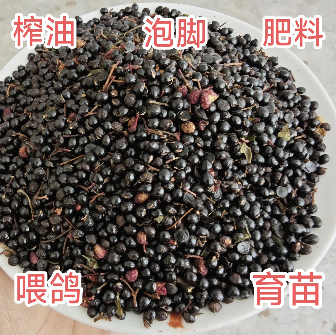 新大红袍花椒籽喂鸽喂鸡喂鸟泡脚榨油肥料甘肃陇南武都产地直发