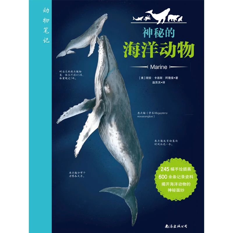 动物笔记.神秘的海洋动物