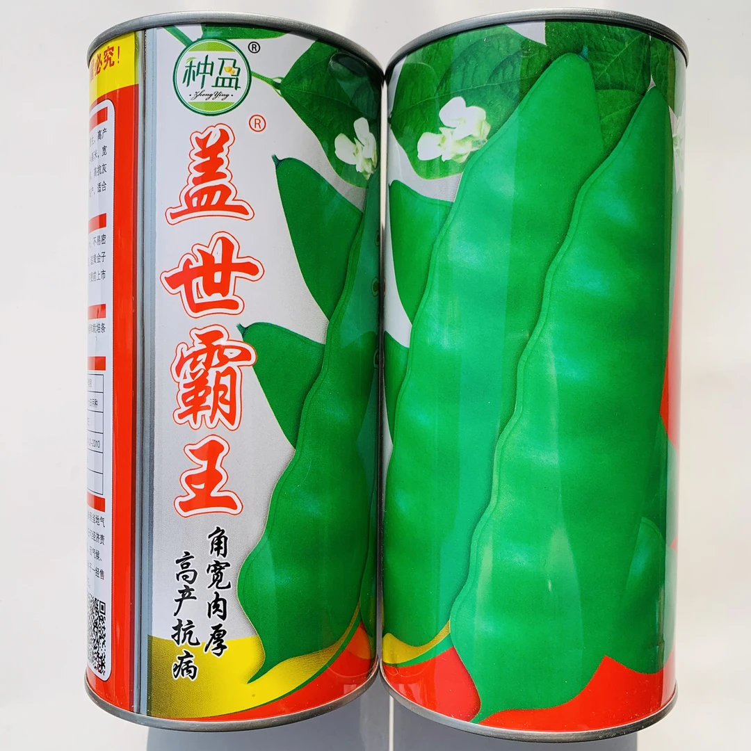 盖世霸王豆角种子 角宽肉厚高产恋秋纯绿无筋无柴开锅烂豆角种子