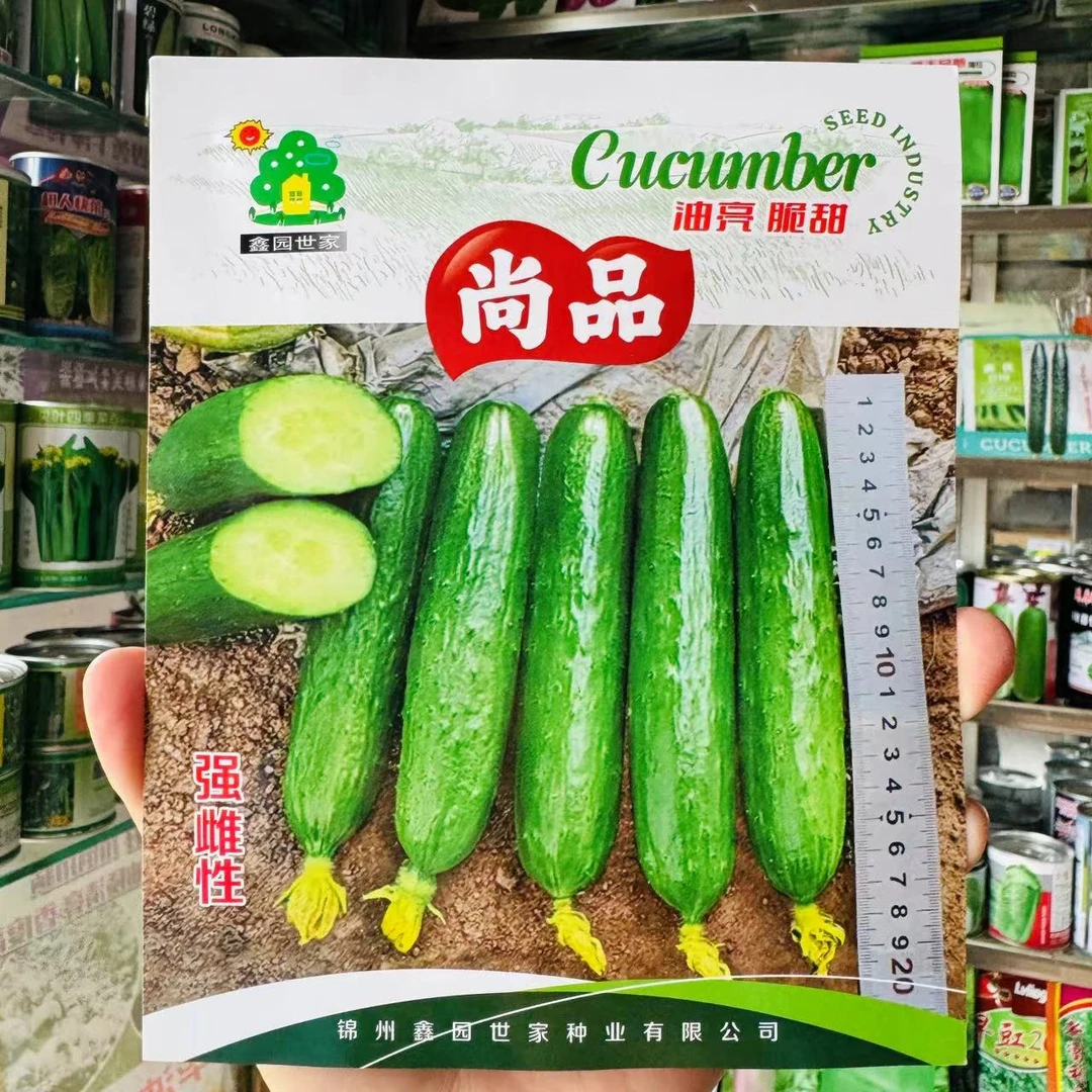 尚品水果黄瓜种子节节有瓜强雌油亮皮水果黄瓜种子无苦味春秋冬季