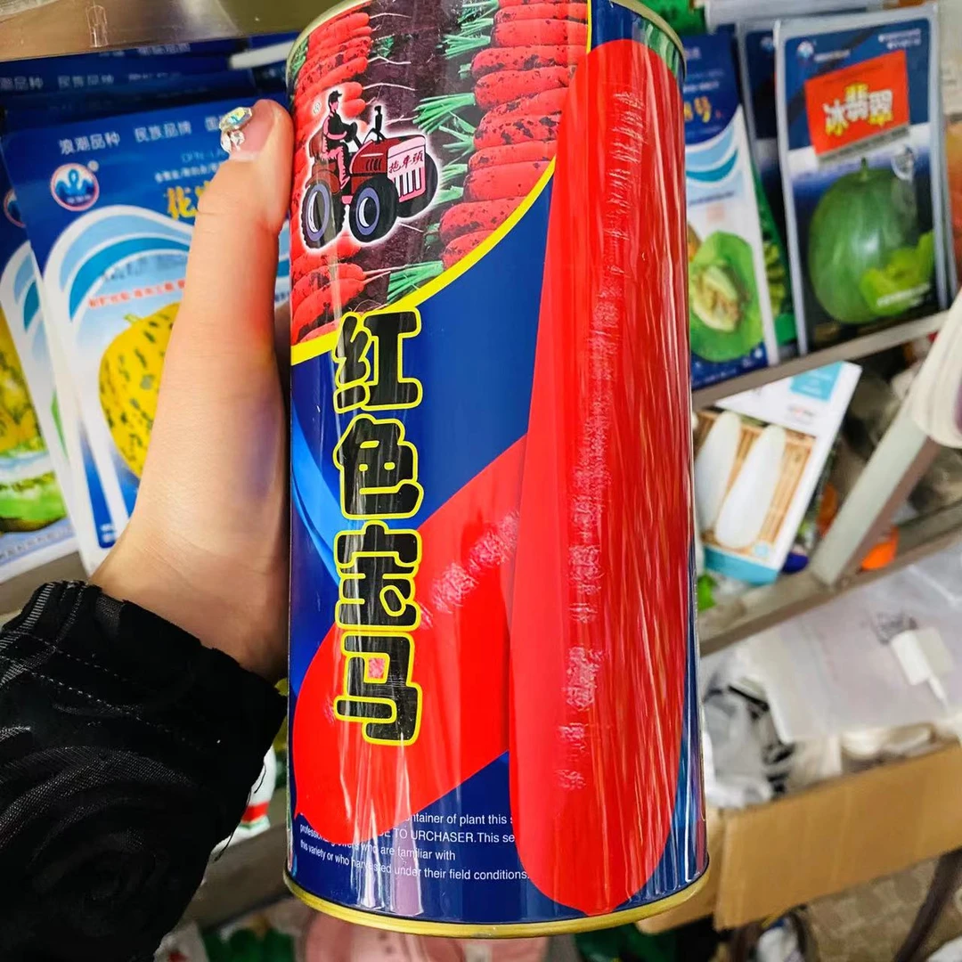 拖车头红色宝马七寸参胡萝卜种子 春秋种植耐寒耐热三红率高250克