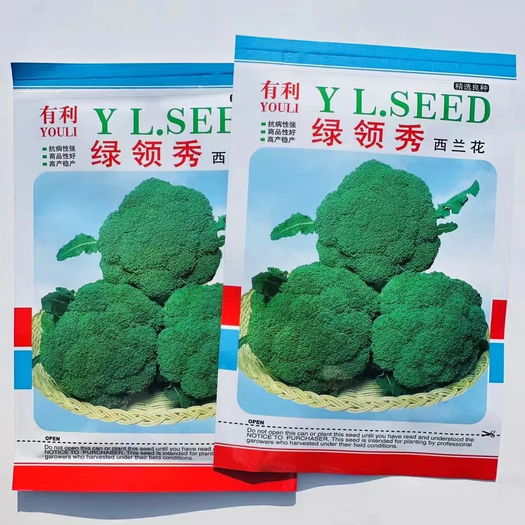 绿领秀新一代中熟西兰花种子耐湿耐寒抗逆性强生长快颜色深绿