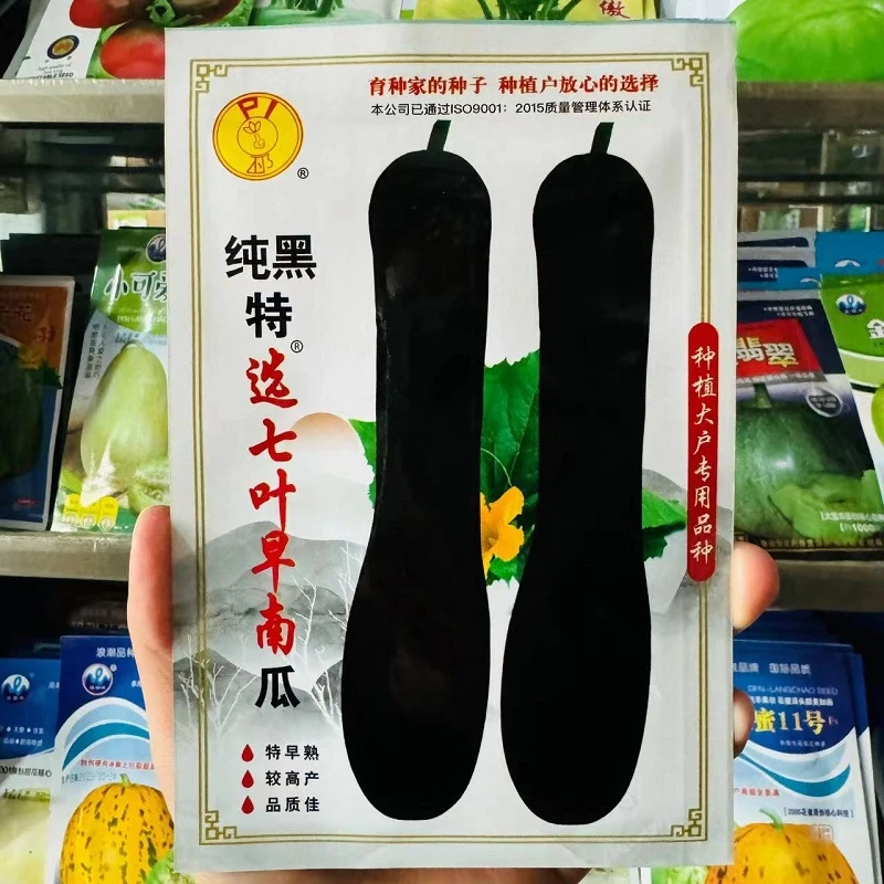 纯黑七叶早南瓜种子黑皮七叶早南瓜种籽板栗南瓜高产香甜蔬菜种孑