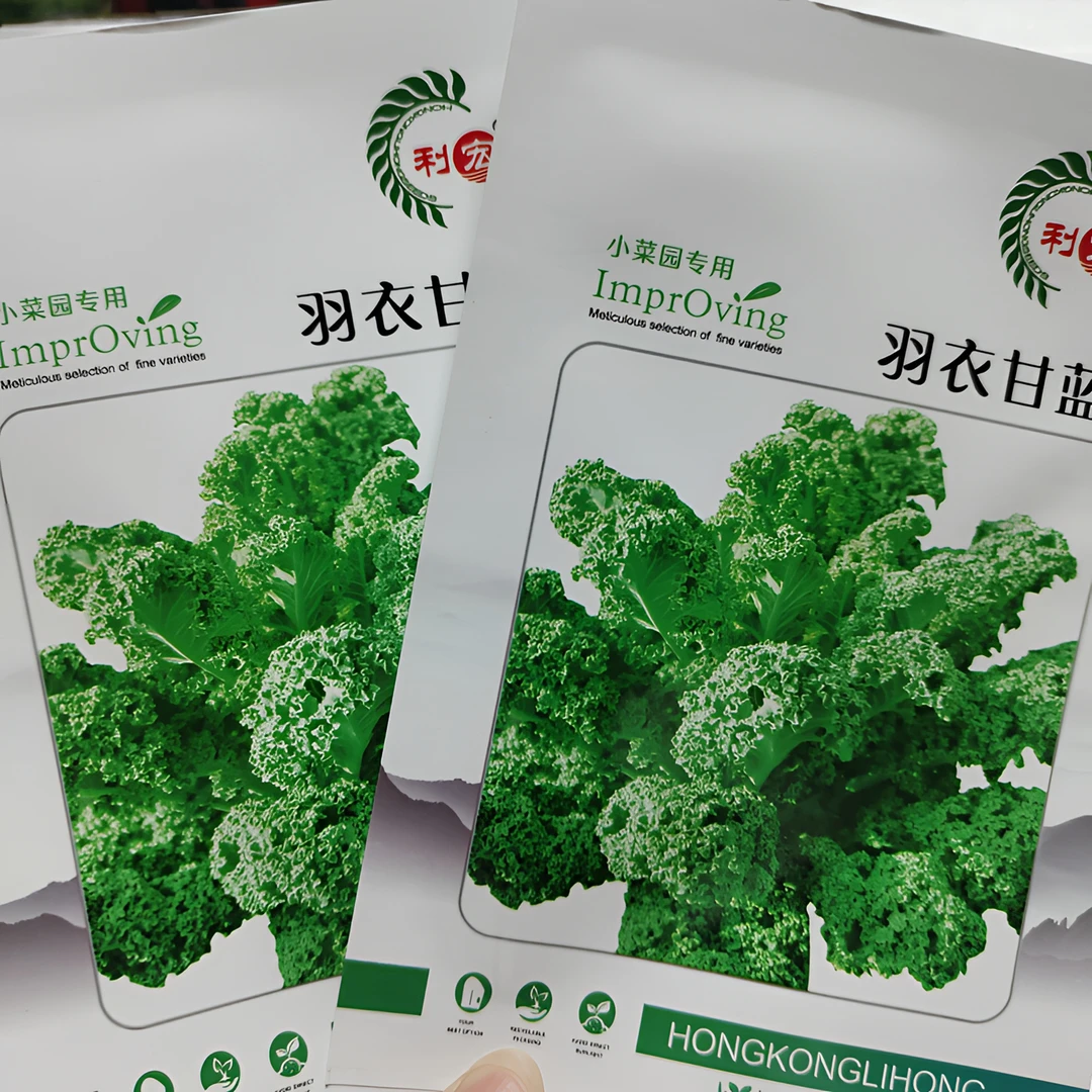 【割完又长】羽衣甘蓝蔬菜种子食用甘蓝蔬菜种籽秋冬季蔬菜种子