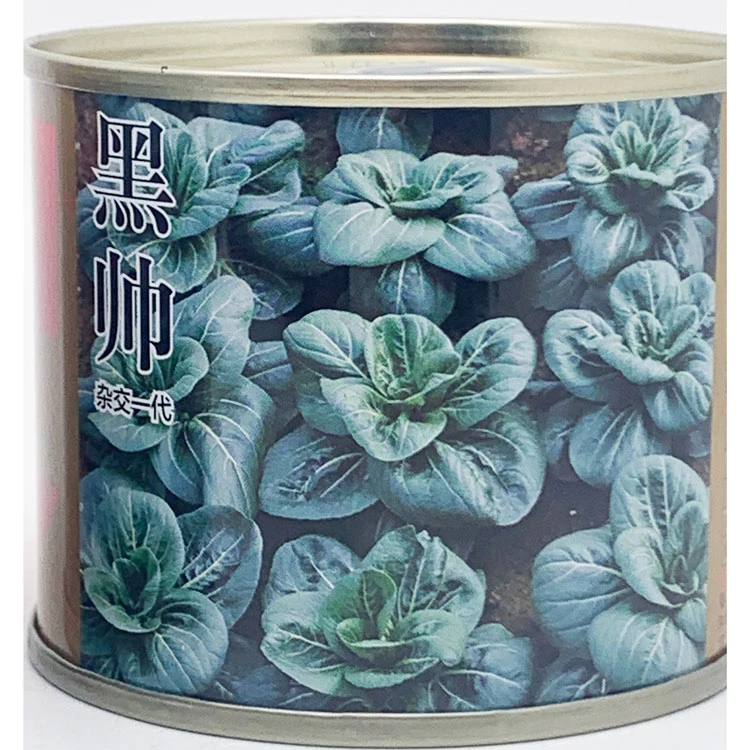 黑帅杂交矮脚苏州青青菜种籽高产耐寒特矮黑亮黑菜种子100克