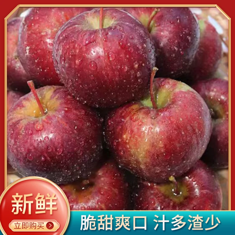 【东北沙果】秋果龙丰果酸甜多汁当季新鲜水果现摘现发净重3/5斤