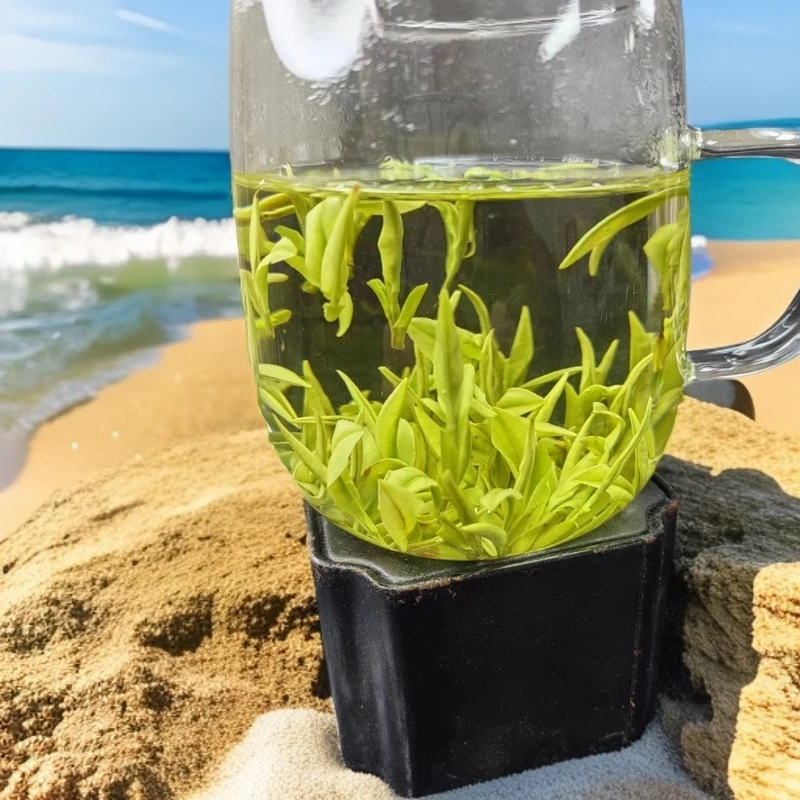 2025年白茶5号600 安吉溪龙产芽头壮硕茶香味浓有点甜明前新茶