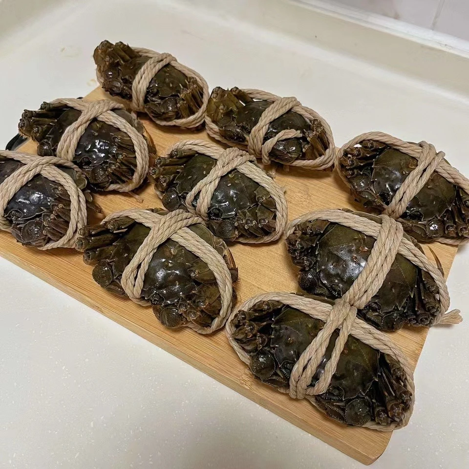 陈嬢嬢专属【全母蟹】江苏大闸蟹2.0-3.0 6/12只 鲜活现绑现发 双福发货 顺丰直达