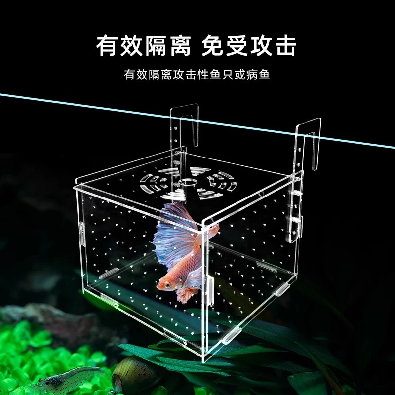 鱼缸隔离盒亚克力孔雀鱼隔离盒乌龟鱼苗斗鱼热带鱼幼鱼小鱼隔离房