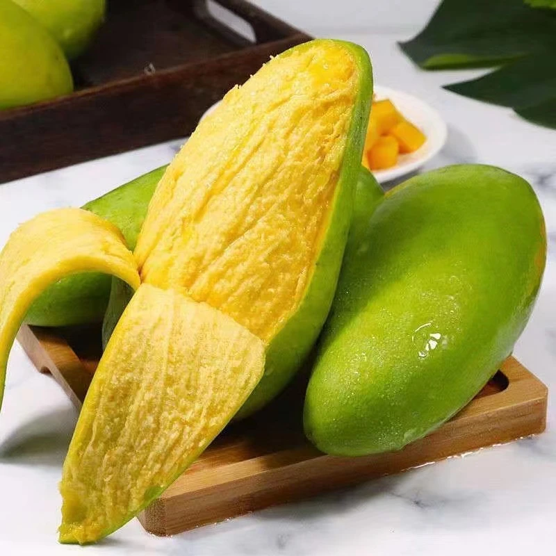 【当季现摘芒果 】云南新鲜大青芒果纯甜多汁无丝5/9斤装 坏果包赔