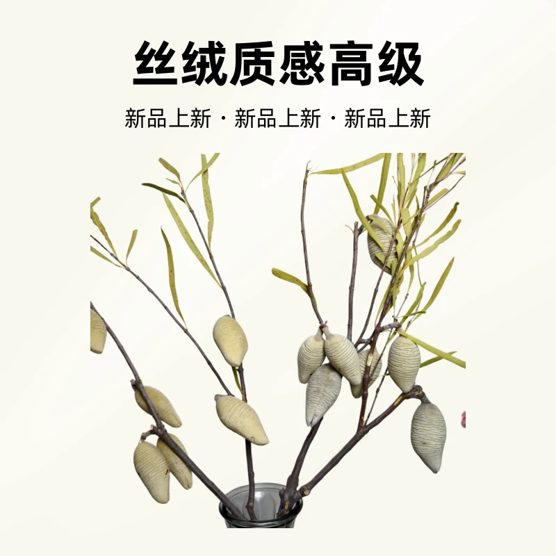 干花木梨果进口稀有花材插花轻奢装饰家居丝绒质感高级