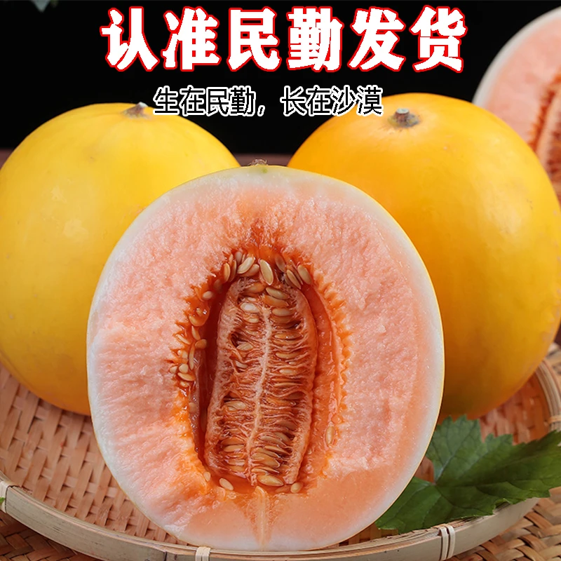 甘肃民勤沙漠蜜瓜金红宝甜瓜新鲜水果产地直发整箱包邮6/8/9斤