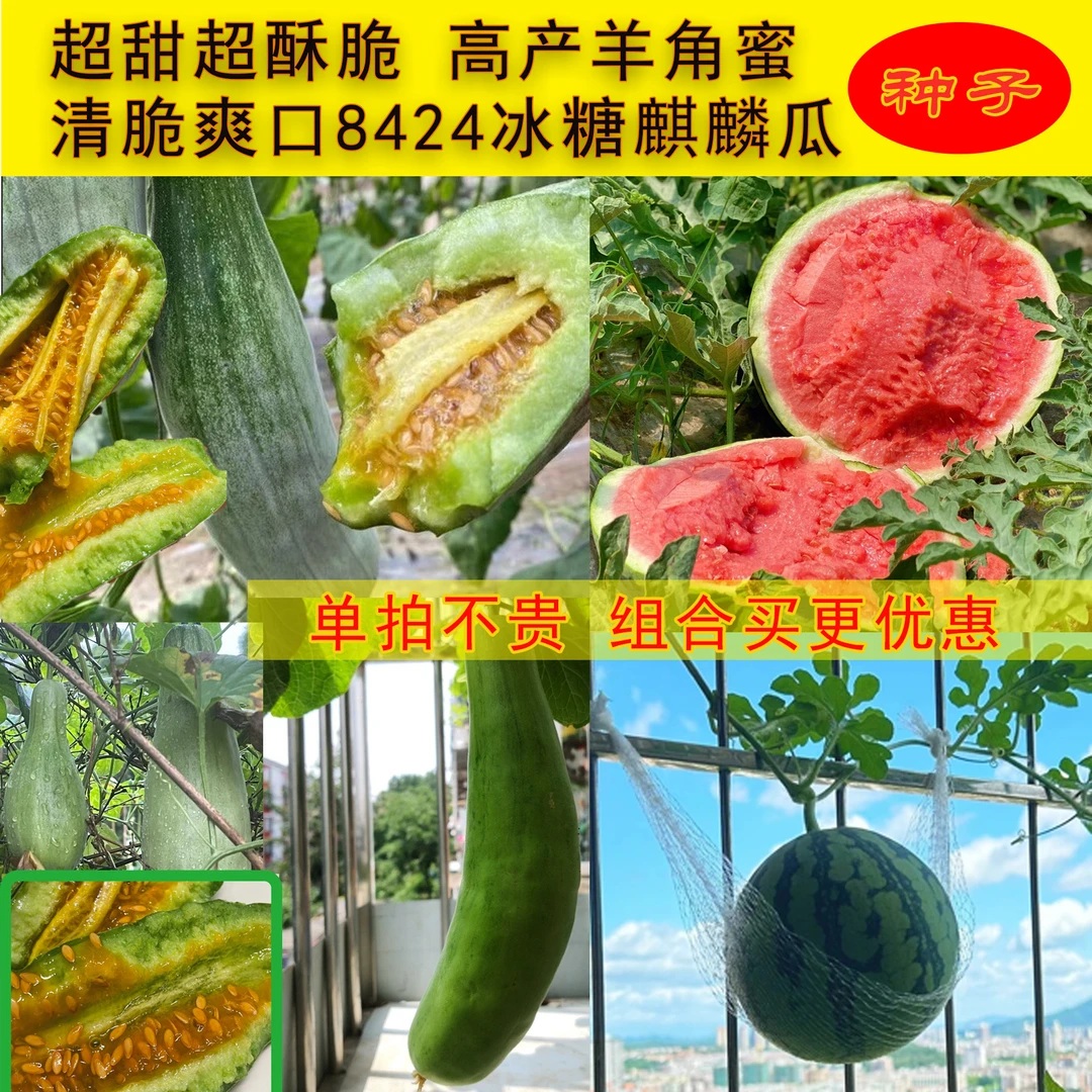 麒麟瓜/羊角蜜-种籽套装阳台小院室内盆栽种子香瓜
