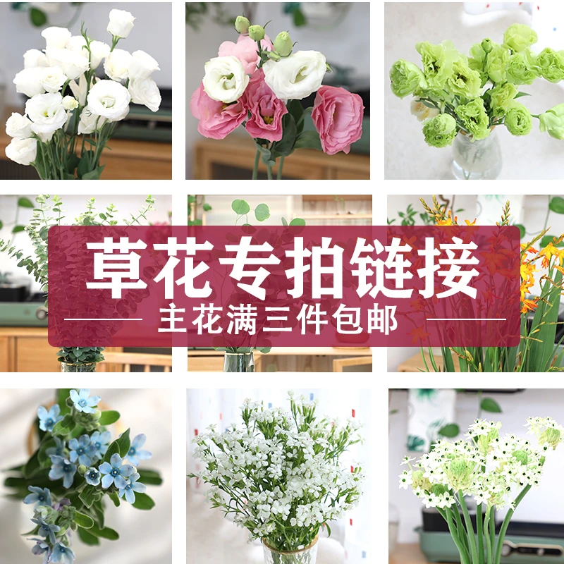 【大聪明卖花】云南鲜花玫瑰百合草花 水养鲜花10%不售后拒收不售后