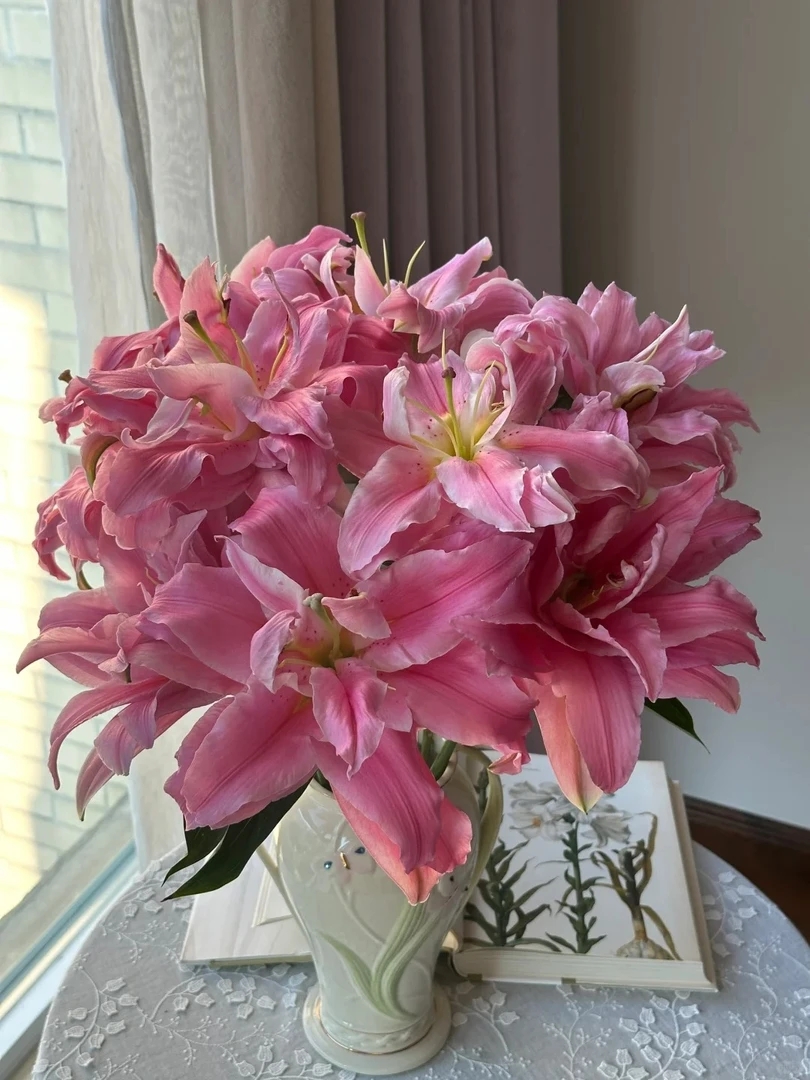 【源头优选】尤尼格重瓣百合 任意2单鲜花包邮 发货后不支持退款