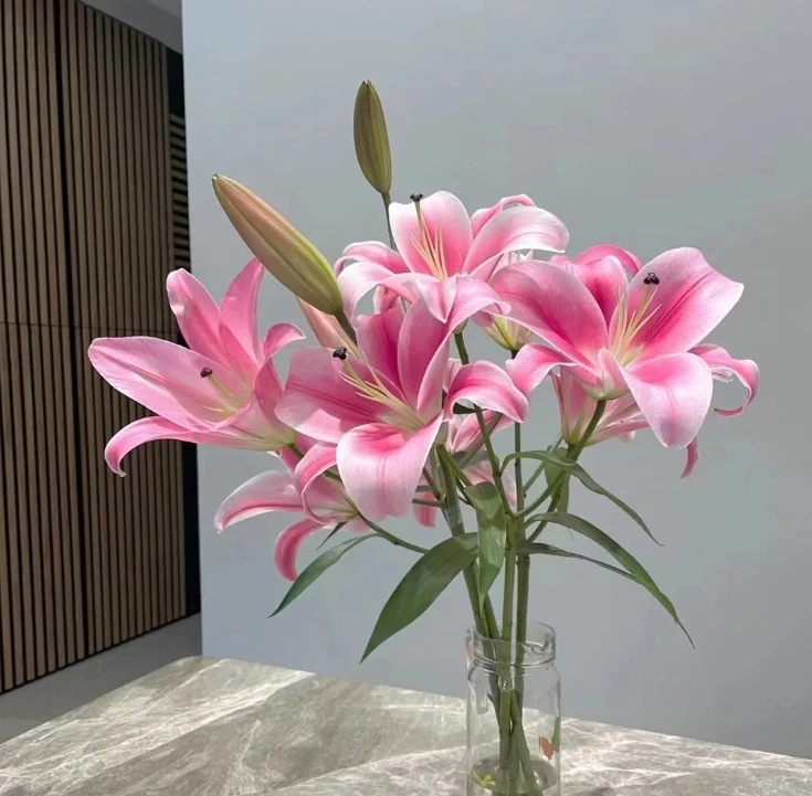 【两个老六】罗宾香水百合 鲜花水养 鲜花10%不售后 拒收不售后