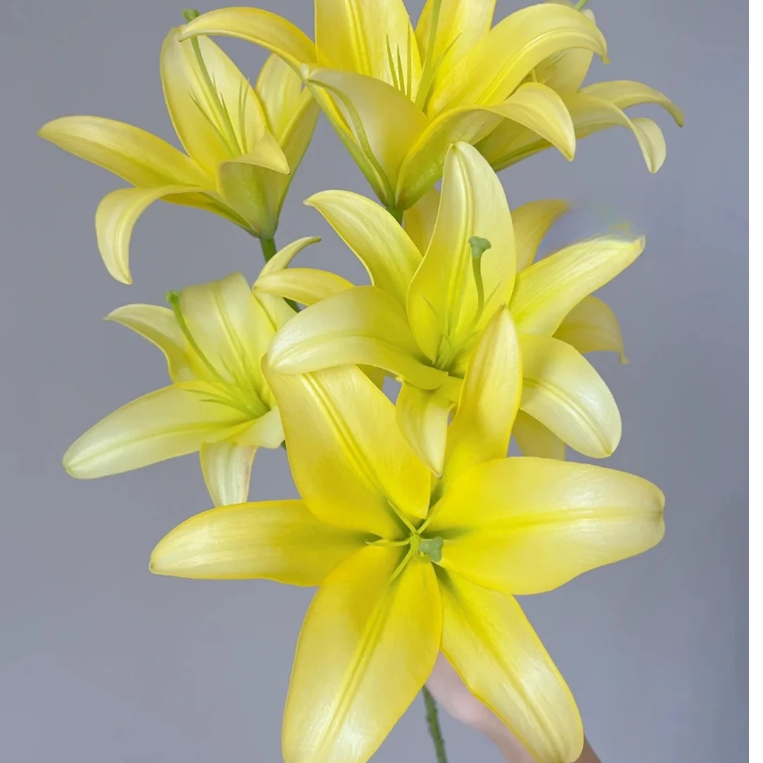 【源头优选】黄蜂 香水百合 任意2单鲜花包邮 发货后不支持退款