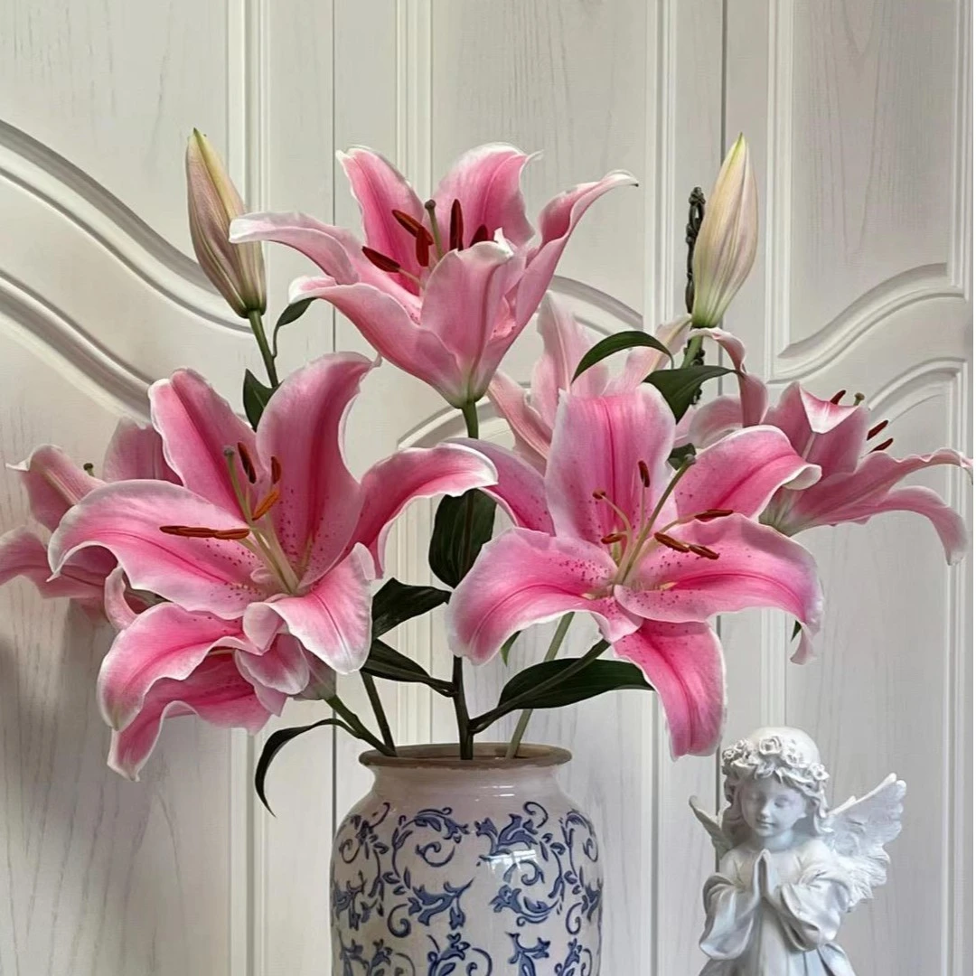 【两个老六】索尔邦香水百合 鲜花水养 鲜花10%不售后 拒收不售后