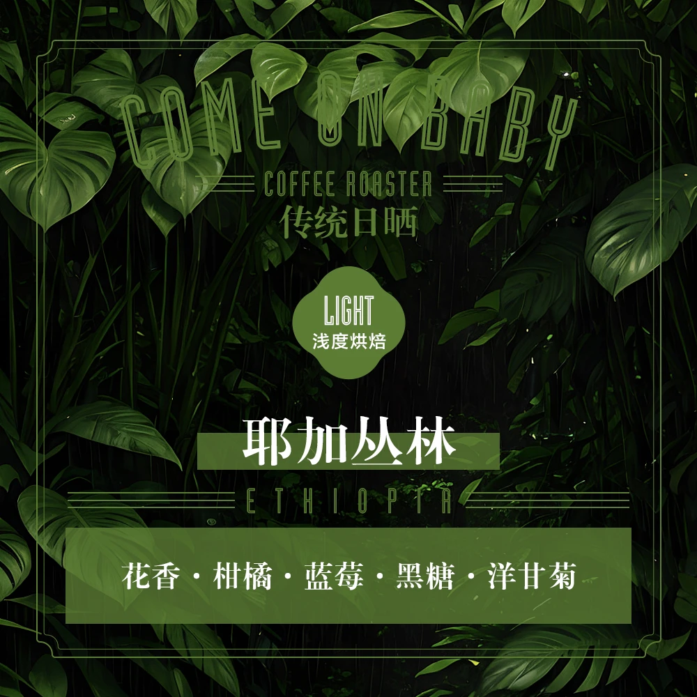 烤猫北鼻 耶加丛林 日晒处理埃塞俄比亚咖啡豆新鲜烘焙可磨粉150g