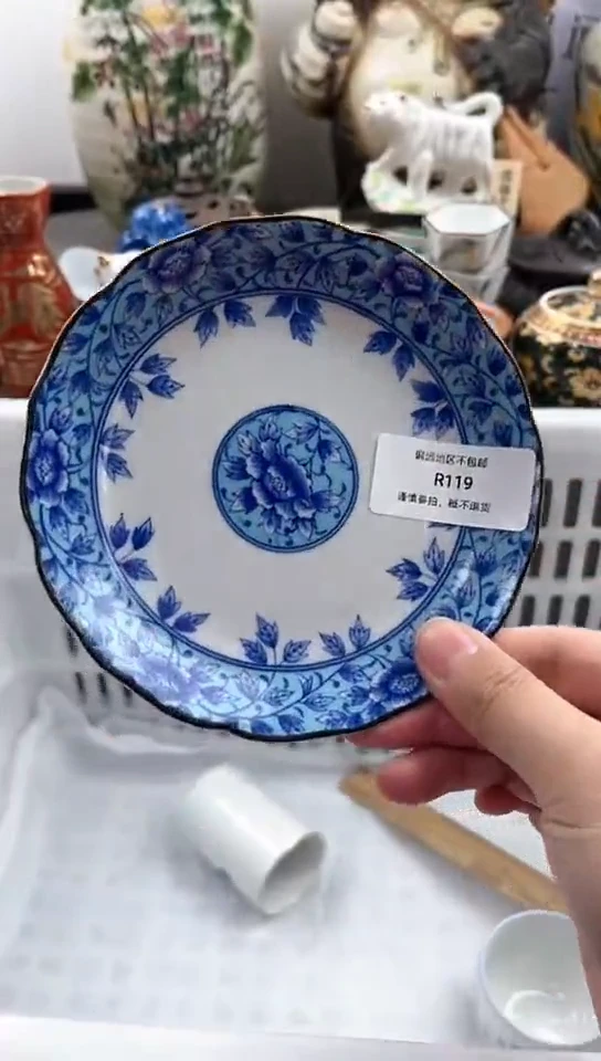 【闪购商品】密胺瓷片119