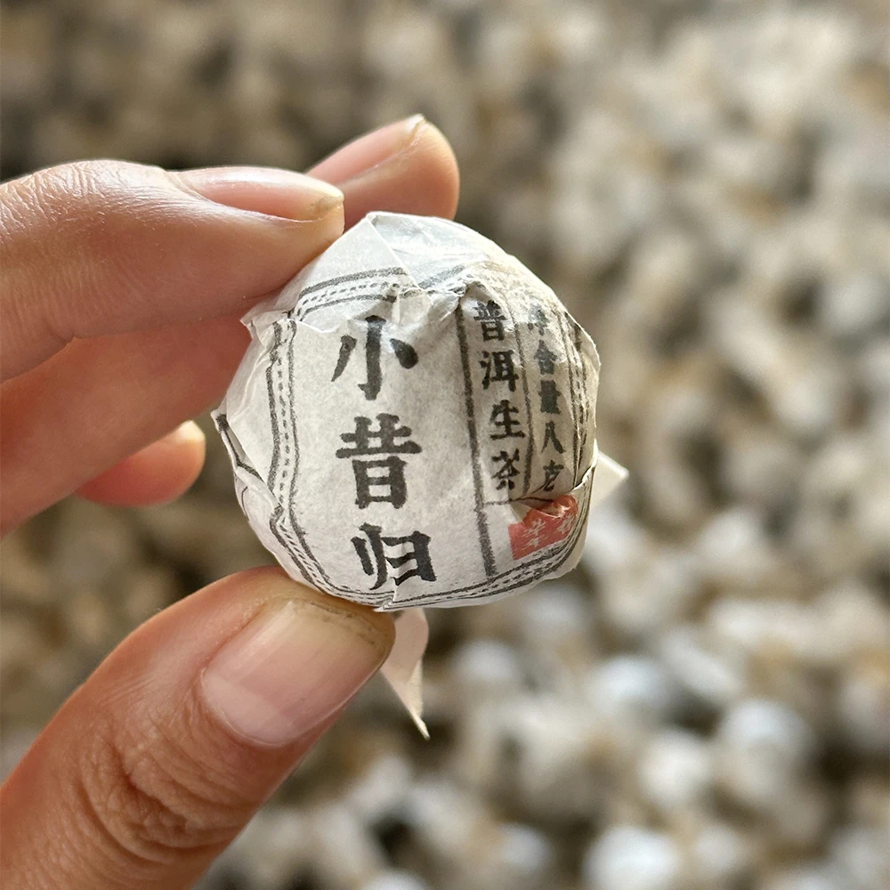 【小昔归龙珠】2021年春茶兰花香显好喝甜润的云南邦东普洱生茶