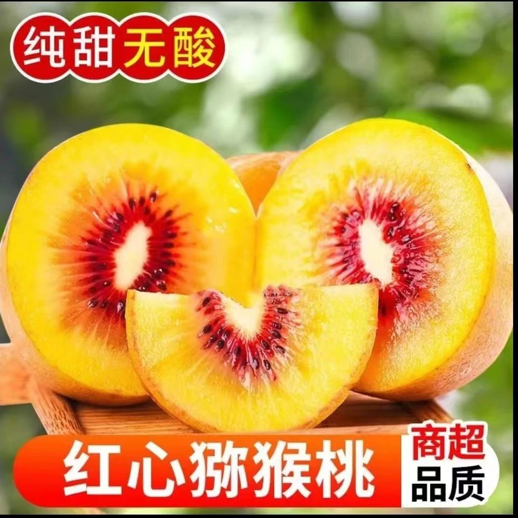 四川2025红心猕猴桃新鲜大果孕妇水果应季弥猴桃奇果30/60个包邮