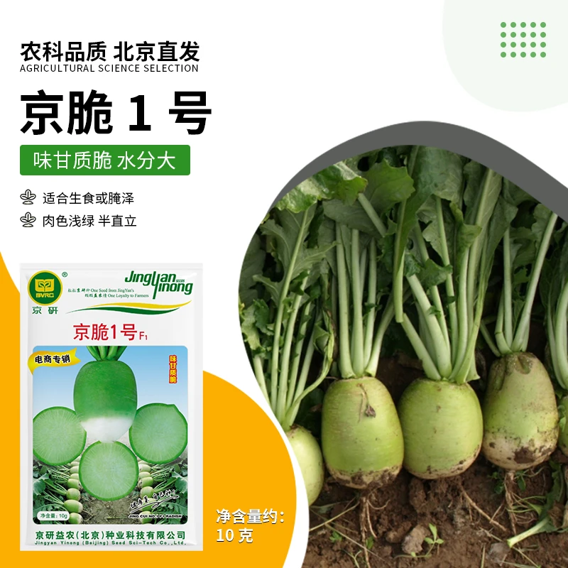 【农科院】水果萝卜种子秋季秋天种植头伏萝卜春耕节简单易种