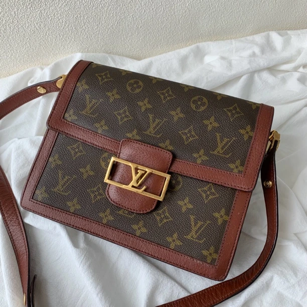 95新 LouisVuitton/路易威登 经典老花中古款达芙妮