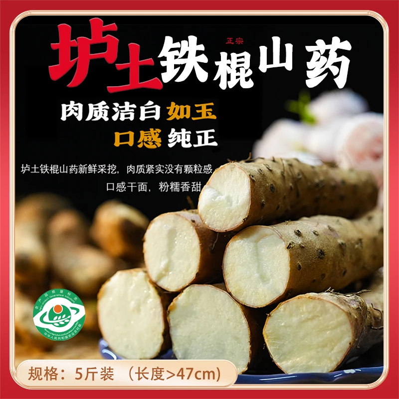 【浪浪仙】正宗河南焦作温县垆土铁棍山药新鲜采摘现挖50厘米