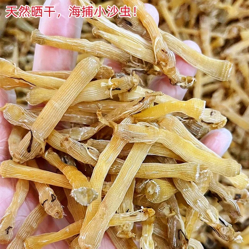 《北海沙虫》海鲜 干货特产沙虫干食用油炒盐炒煲汤煮粥天然味精