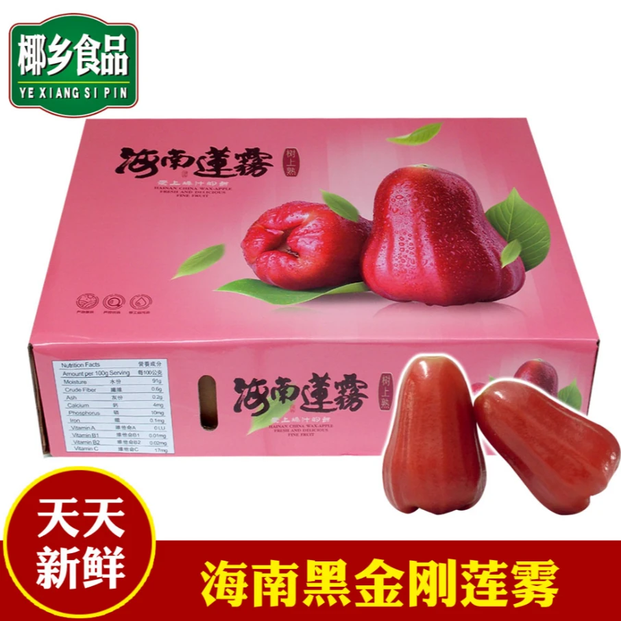 海南三亚黑金刚特大精品直播原产地顺丰空运莲雾鲜嫩海南特产