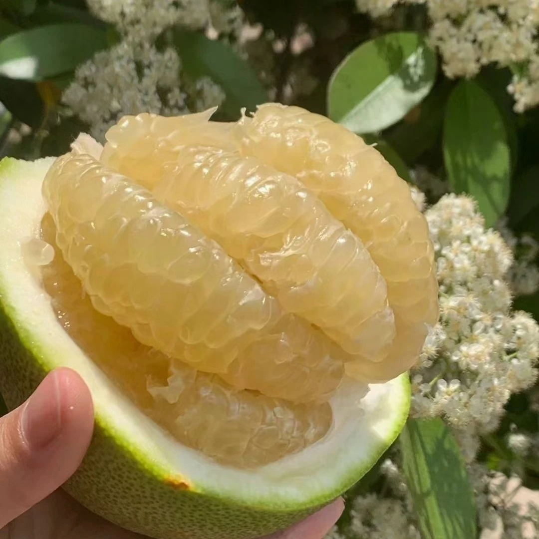 海南澄迈山口青皮无籽水晶蜜柚2025应季水果宝宝孕妇送礼顺丰