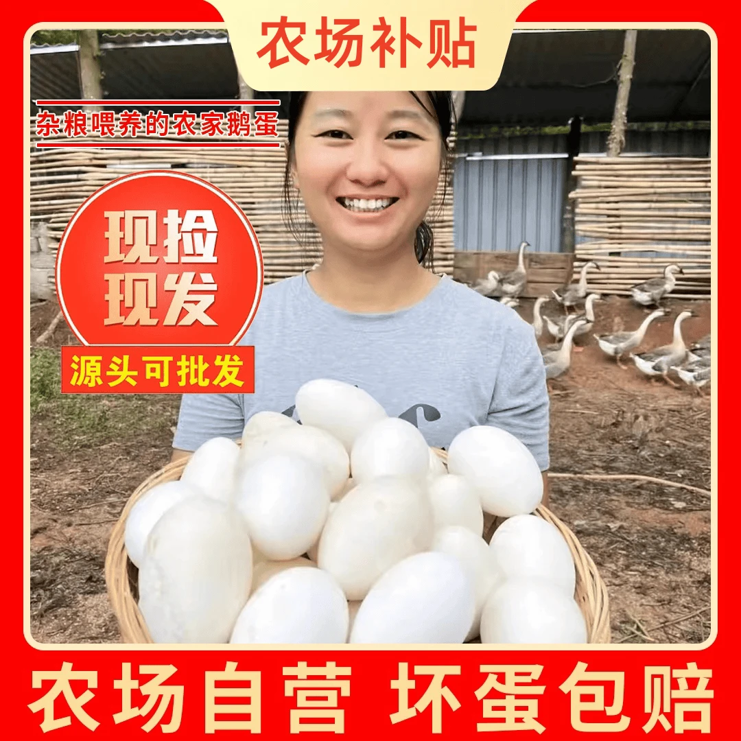 【英子家】现捡现发新鲜散养鹅蛋一箱12枚单枚重120g左右双黄居多