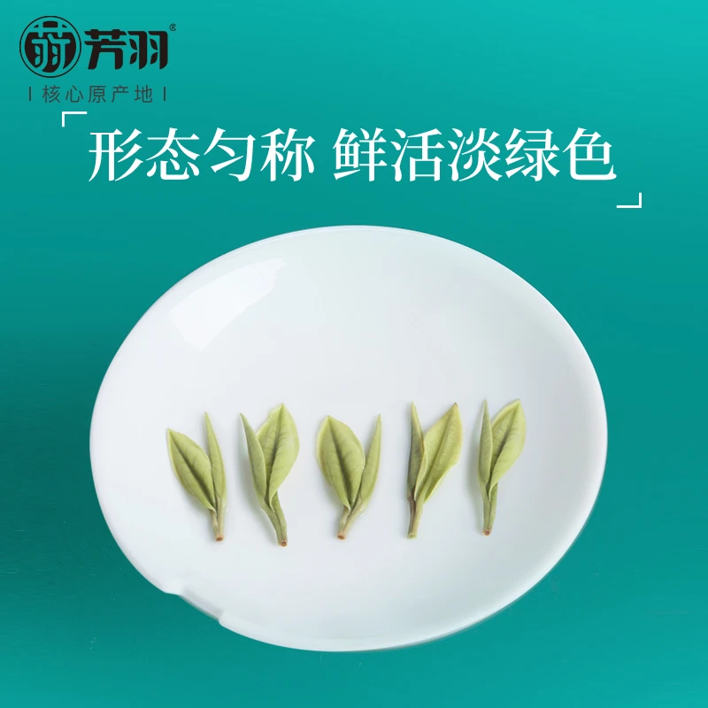 2024新茶 芳羽【经典极白】安吉白茶 高白化度 叶白脉翠