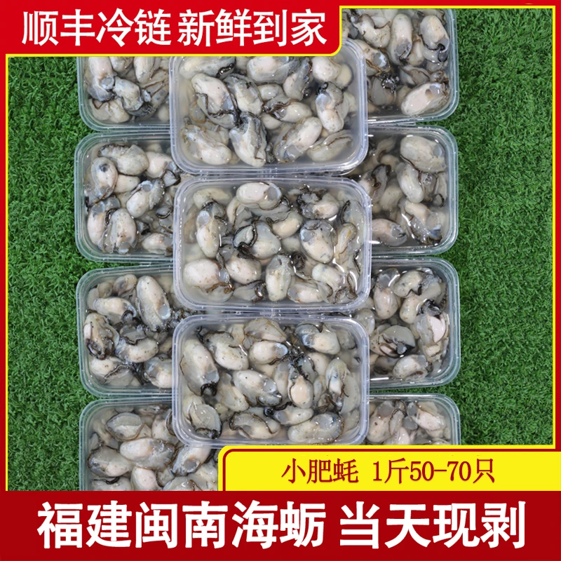 福建闽南石头海蛎现剥牡蛎肉新鲜生蚝