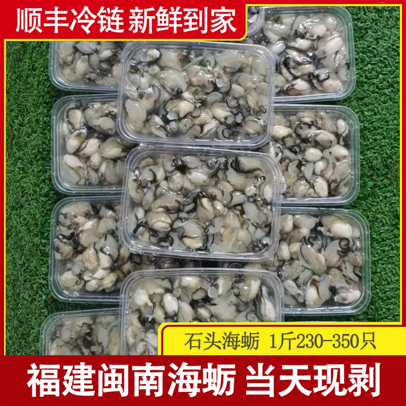 福建石头小海蛎现剥生蚝牡蛎珠蛎闽南蚵仔煎潮汕蚝烙肥蚝一斤一袋