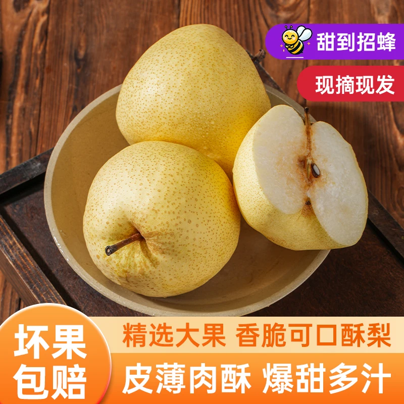 【坏果包赔】山西运城精品贡梨脆甜多汁皮薄肉嫩现摘现发5斤z