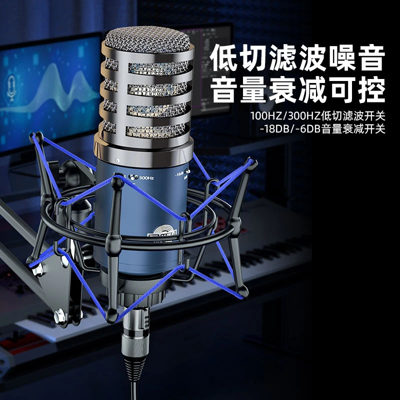 魅声H单麦克风外置通用48V电容麦克风34MM镀金大振膜录音