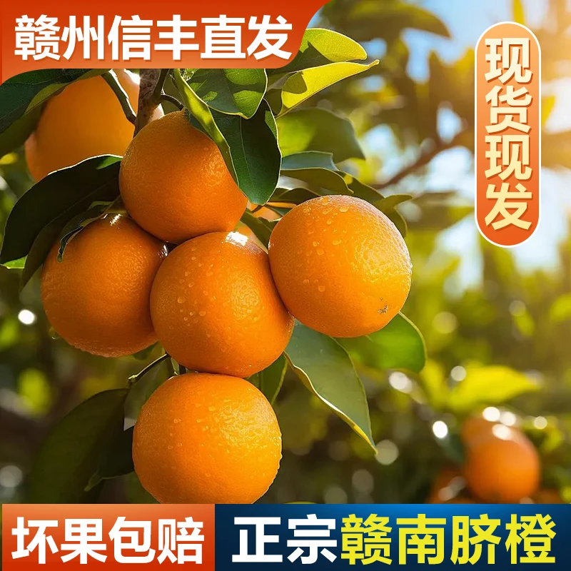 正宗赣南脐橙新鲜水果应季手剥甜橙10斤整箱产地直发江西信丰橙