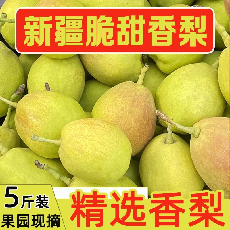 【大杨】新疆库尔勒香梨正宗新鲜水果红香酥梨子香妃梨全母梨//包