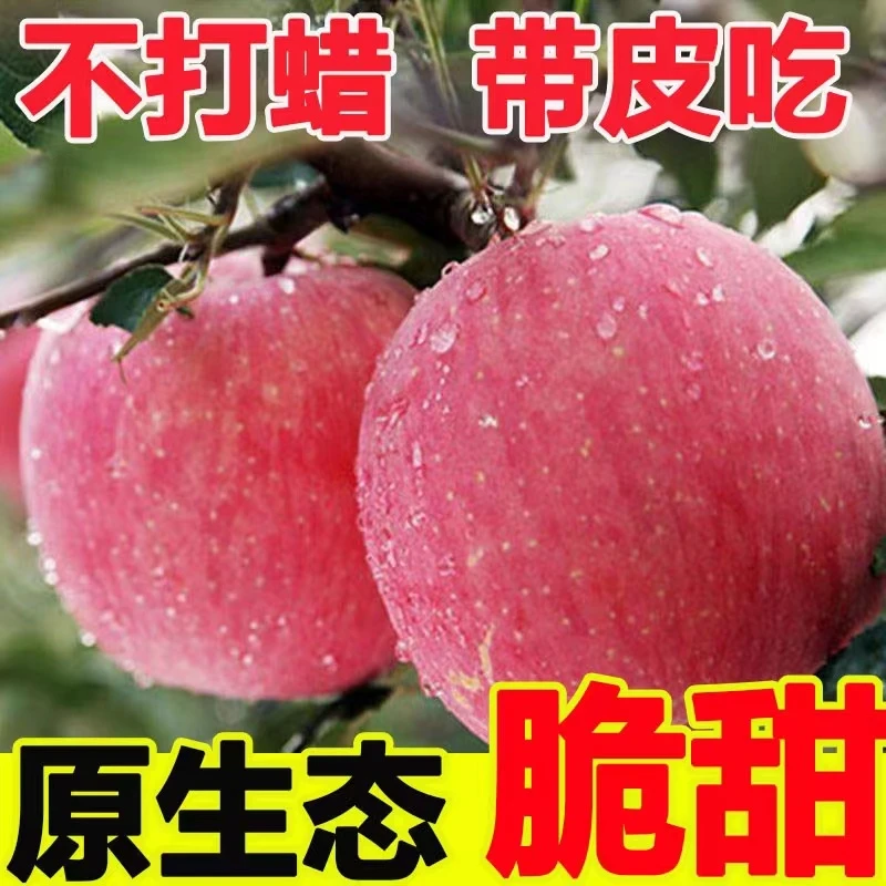 【大杨】正宗陕西洛川苹果水果新鲜整箱当季红富士批发冰糖心脆甜