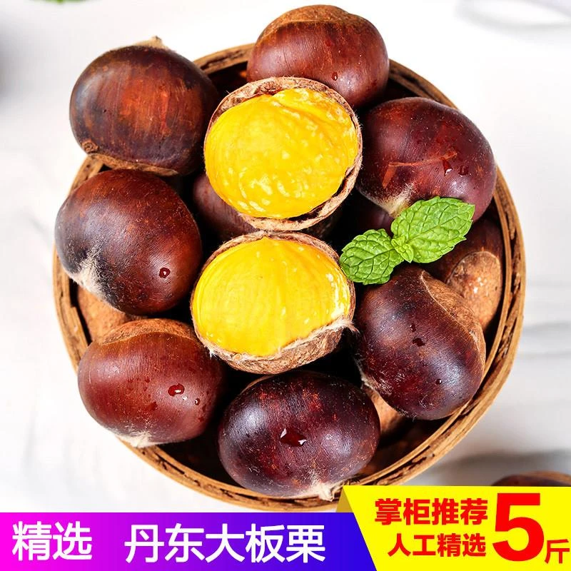【大杨】新鲜生板栗大板栗现摘生栗丹东东北甜板栗大果栗子非锥