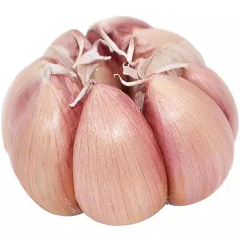【大杨】【新干蒜】河南农家自种紫皮大蒜大蒜头新鲜蔬菜整箱包邮