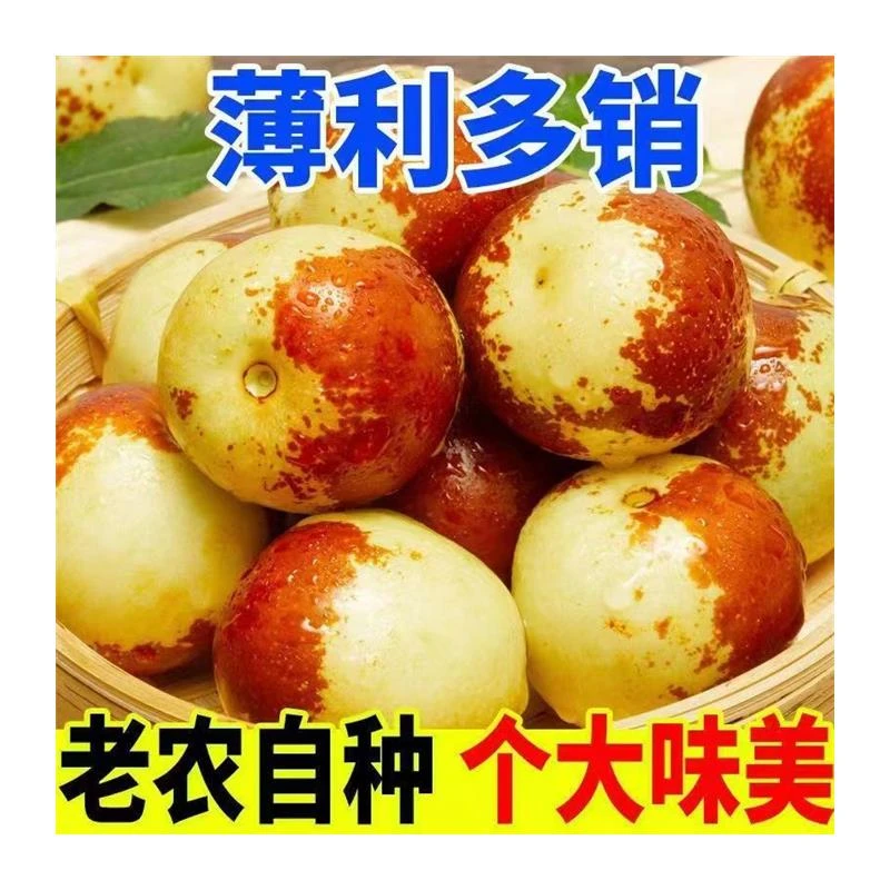 【大杨】山东沾化冬枣现摘新鲜脆甜冬枣时令水果青枣红枣//包邮非