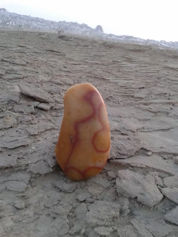 新疆克拉玛依盆景石