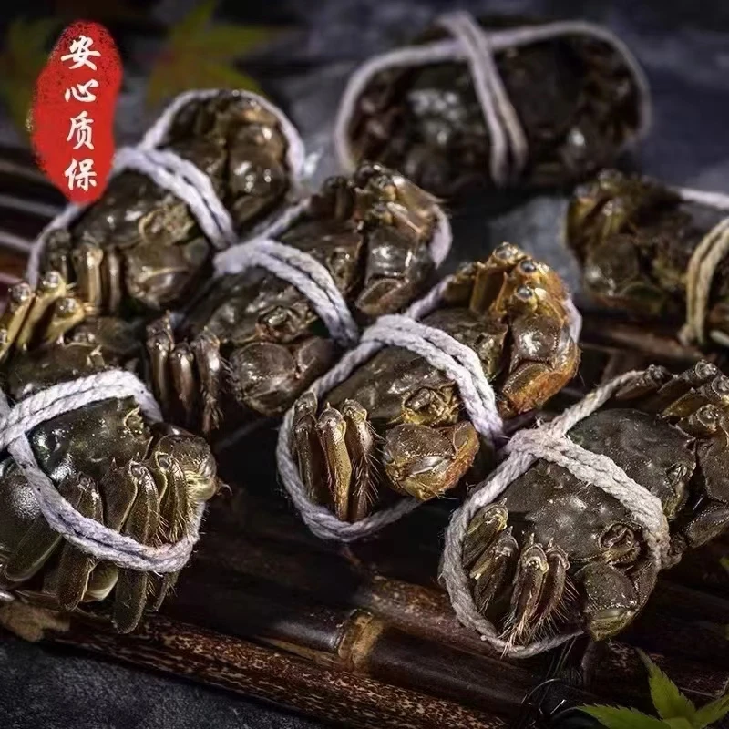 【南昌小时达】3两母蟹8只 军山湖大闸蟹礼盒装 （送蟹醋 紫苏包）