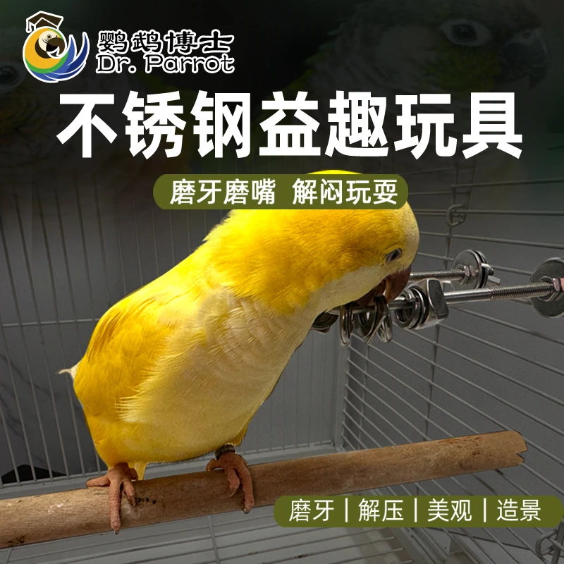 鹦鹉趣味啃咬解压互动玩具和尚小太阳鸟笼挂饰磨嘴不锈钢益智玩具