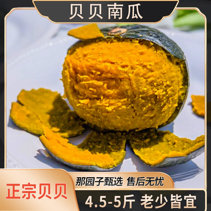 甄选贝贝南瓜 4.5-5斤4-7个 口感香甜 淡淡木糖甜板栗味粉糯