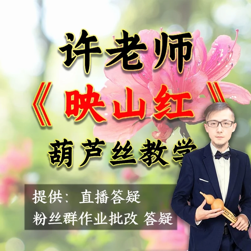 葫芦丝吹奏《映山红》逐句详细教学讲解7节精品课程